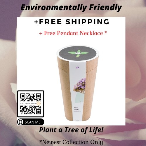 Everything you need to plant your tree and keep the memory alive with Kiri Bio
