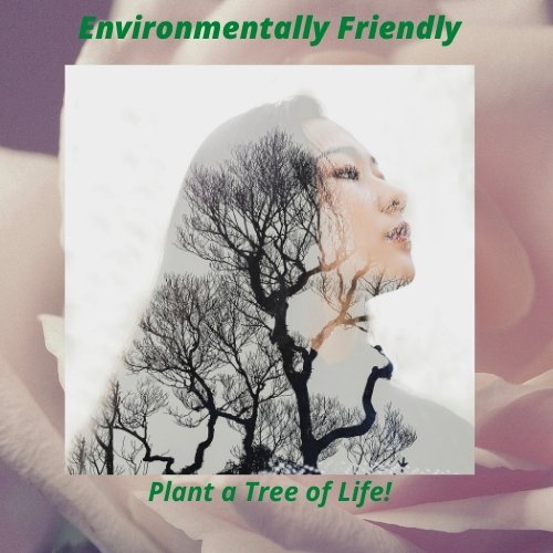 Environmentally Friendly Biodegradable Urn