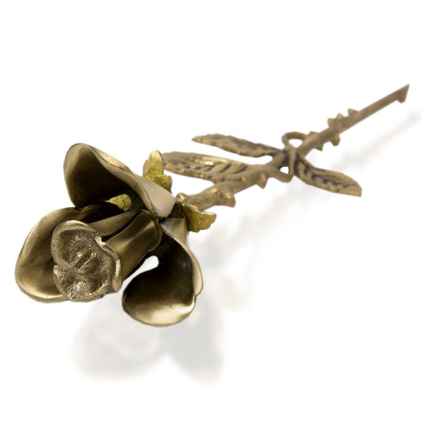 Cremation Urns Jewelry Urns Biodegradable Urns Pet Urn