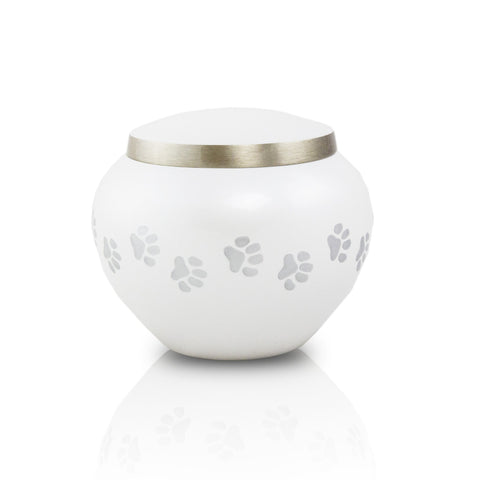 Extra Small Odyssey Pet Urns - Pearl - Urn Of Memories