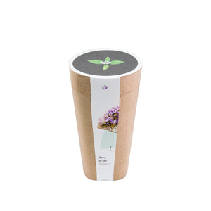 Kiri Bio Urn - Biodegradable for Human and Pet Cremation Ashes - Planting the tree of life! - Urn Of Memories