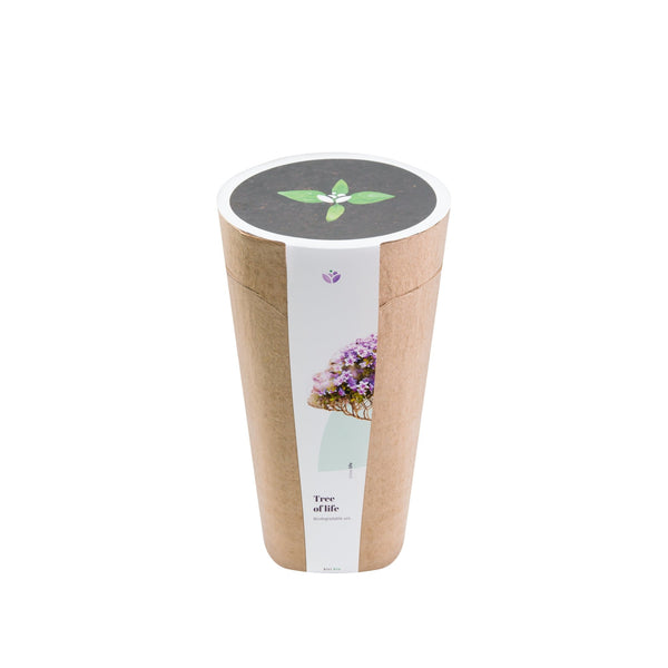 Kiri Bio Urn - Biodegradable for Human and Pet Cremation Ashes - Planting the tree of life! - Urn Of Memories