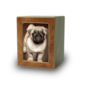 Pet Photo Cremation Urn - Extra Small - Urn Of Memories