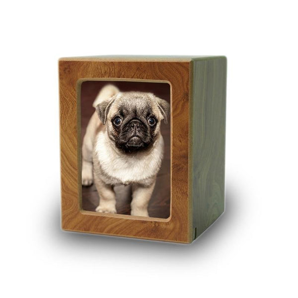 Extra small 2025 pet urn